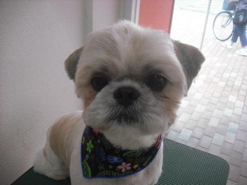 ファイル 1164-1.jpg