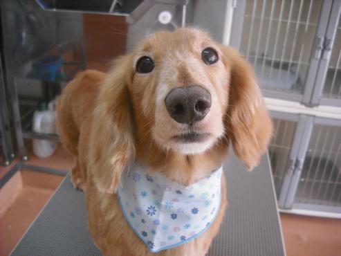 ファイル 1165-1.jpg