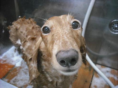 ファイル 1165-2.jpg