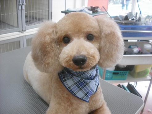 ファイル 1166-1.jpg