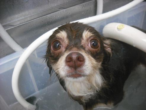 ファイル 1167-2.jpg