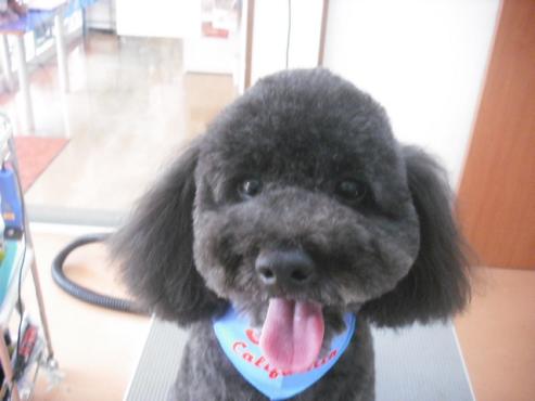 ファイル 1168-1.jpg