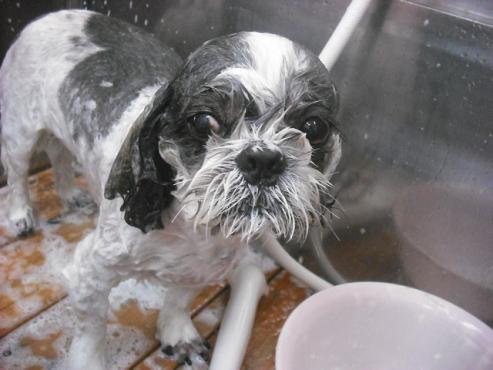 ファイル 1169-2.jpg