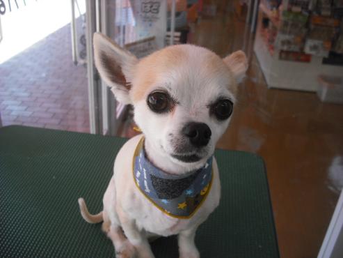 ファイル 117-1.jpg