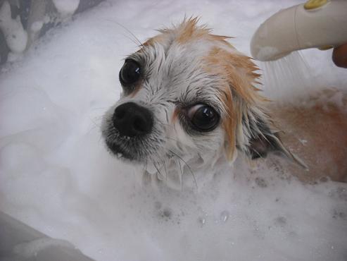 ファイル 117-2.jpg