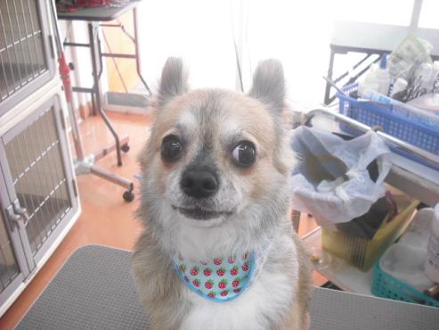 ファイル 1170-2.jpg