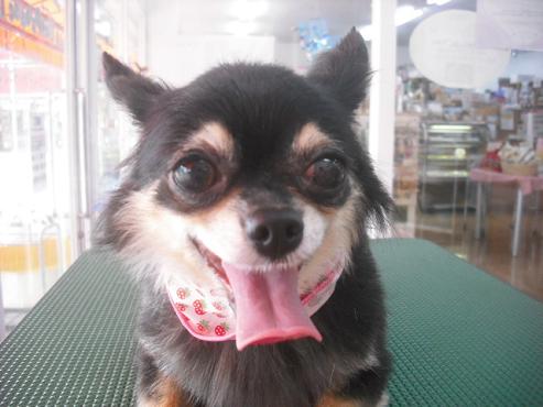 ファイル 1171-1.jpg