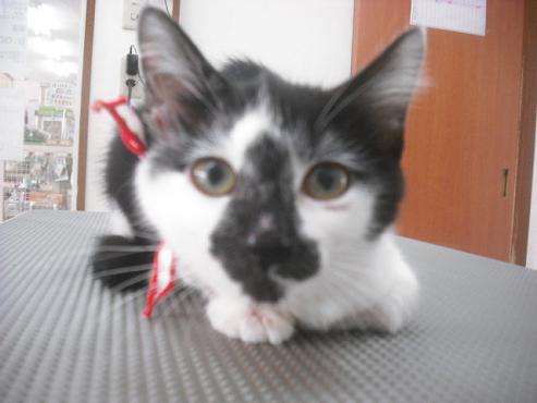 ファイル 1173-2.jpg