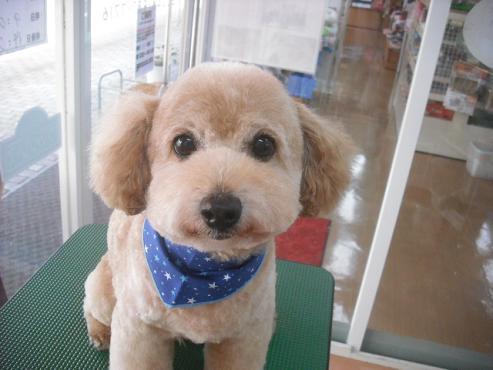 ファイル 1175-1.jpg