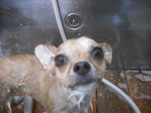 ファイル 1177-2.jpg