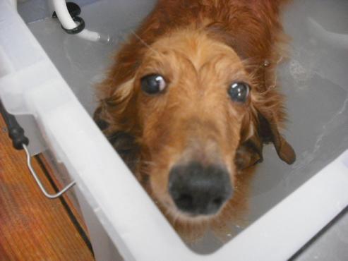 ファイル 1178-2.jpg