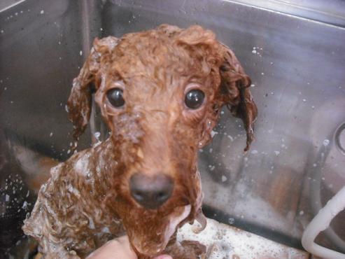 ファイル 1179-2.jpg