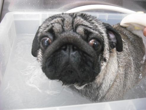 ファイル 118-2.jpg