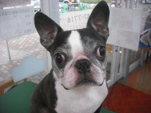 ファイル 1186-1.jpg