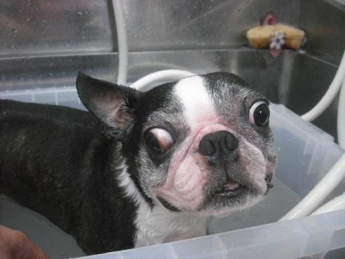 ファイル 1186-2.jpg