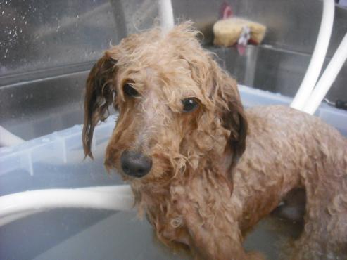 ファイル 1188-2.jpg