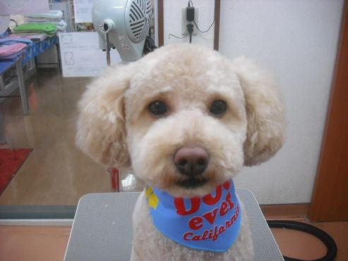 ファイル 1189-1.jpg