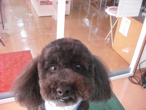 ファイル 119-1.jpg