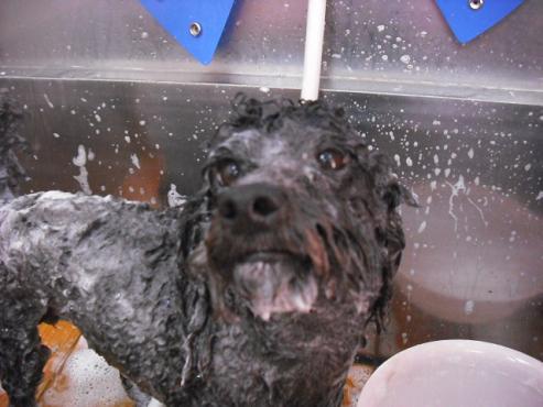 ファイル 119-2.jpg