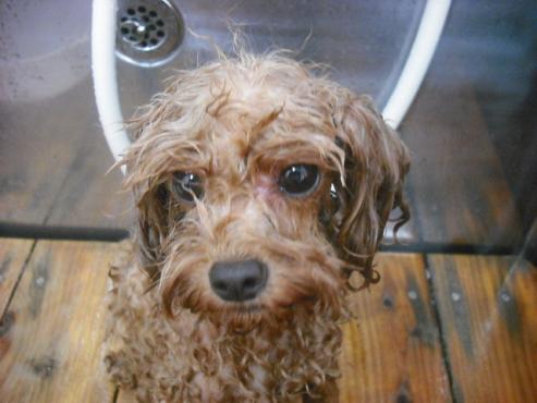 ファイル 1190-2.jpg