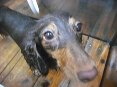 ファイル 1191-2.jpg