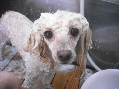 ファイル 1192-2.jpg