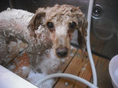 ファイル 1193-2.jpg