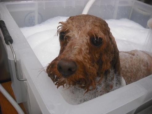 ファイル 1198-2.jpg