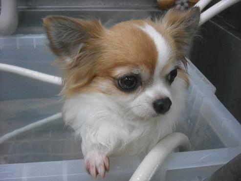 ファイル 1199-2.jpg