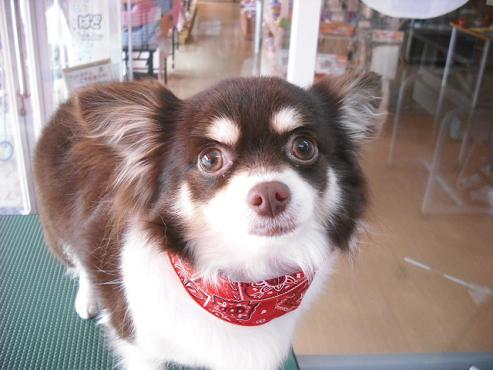 ファイル 12-1.jpg