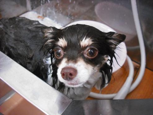 ファイル 12-2.jpg