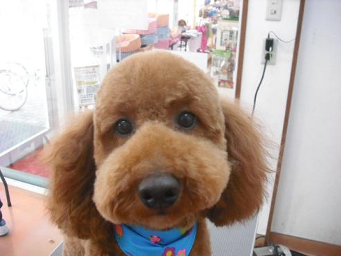 ファイル 120-1.jpg