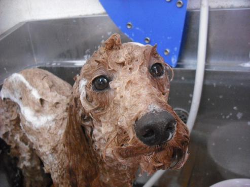 ファイル 120-2.jpg