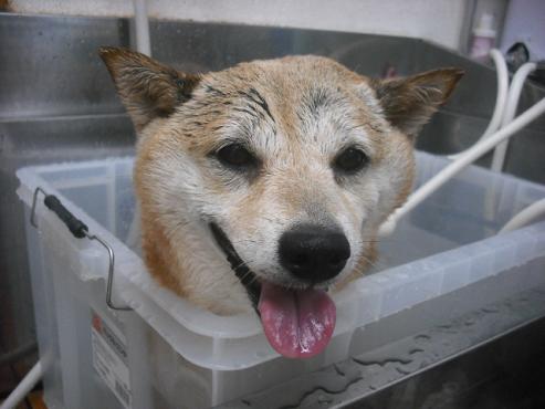 ファイル 1201-2.jpg