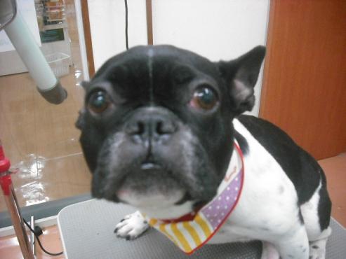 ファイル 1202-1.jpg