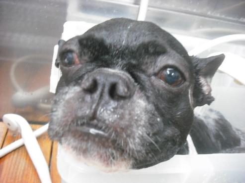 ファイル 1202-2.jpg