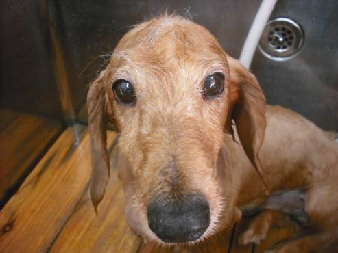 ファイル 1203-2.jpg