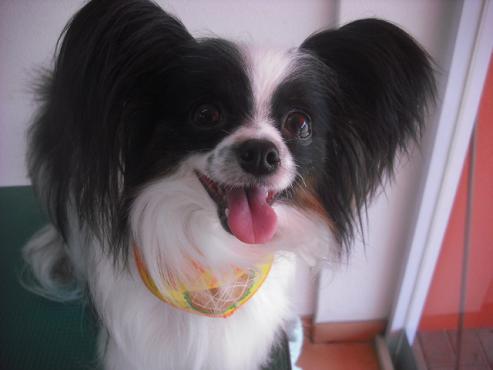 ファイル 1204-1.jpg