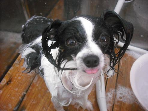 ファイル 1204-2.jpg