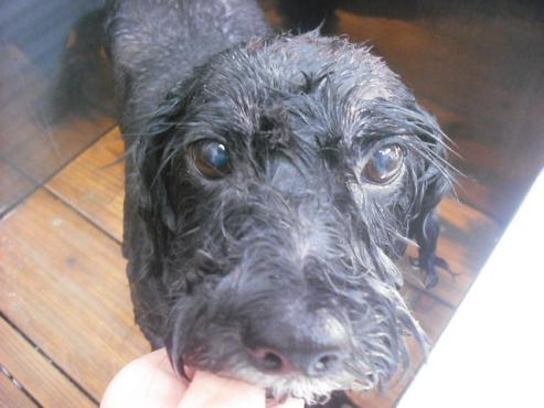 ファイル 1206-2.jpg