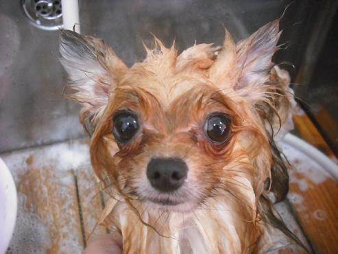 ファイル 1208-2.jpg