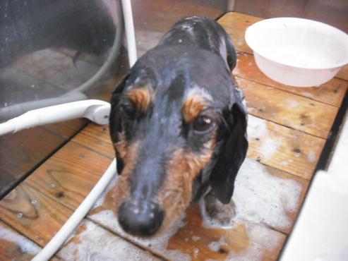 ファイル 121-2.jpg