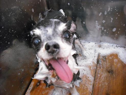 ファイル 1210-2.jpg