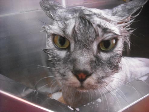 ファイル 1212-2.jpg