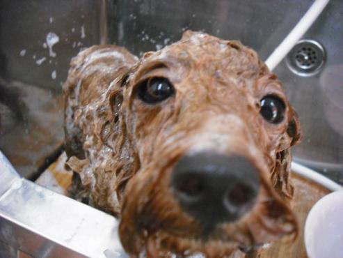 ファイル 1214-2.jpg