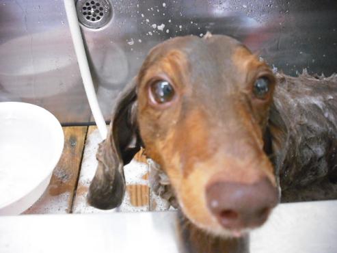 ファイル 1218-2.jpg