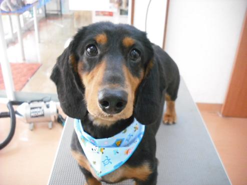 ファイル 1219-1.jpg