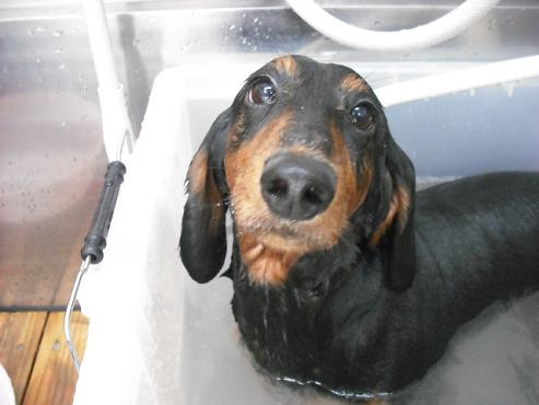 ファイル 1219-2.jpg