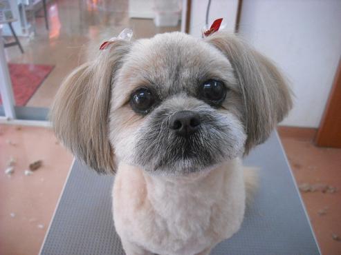 ファイル 122-1.jpg