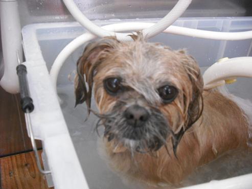 ファイル 122-2.jpg